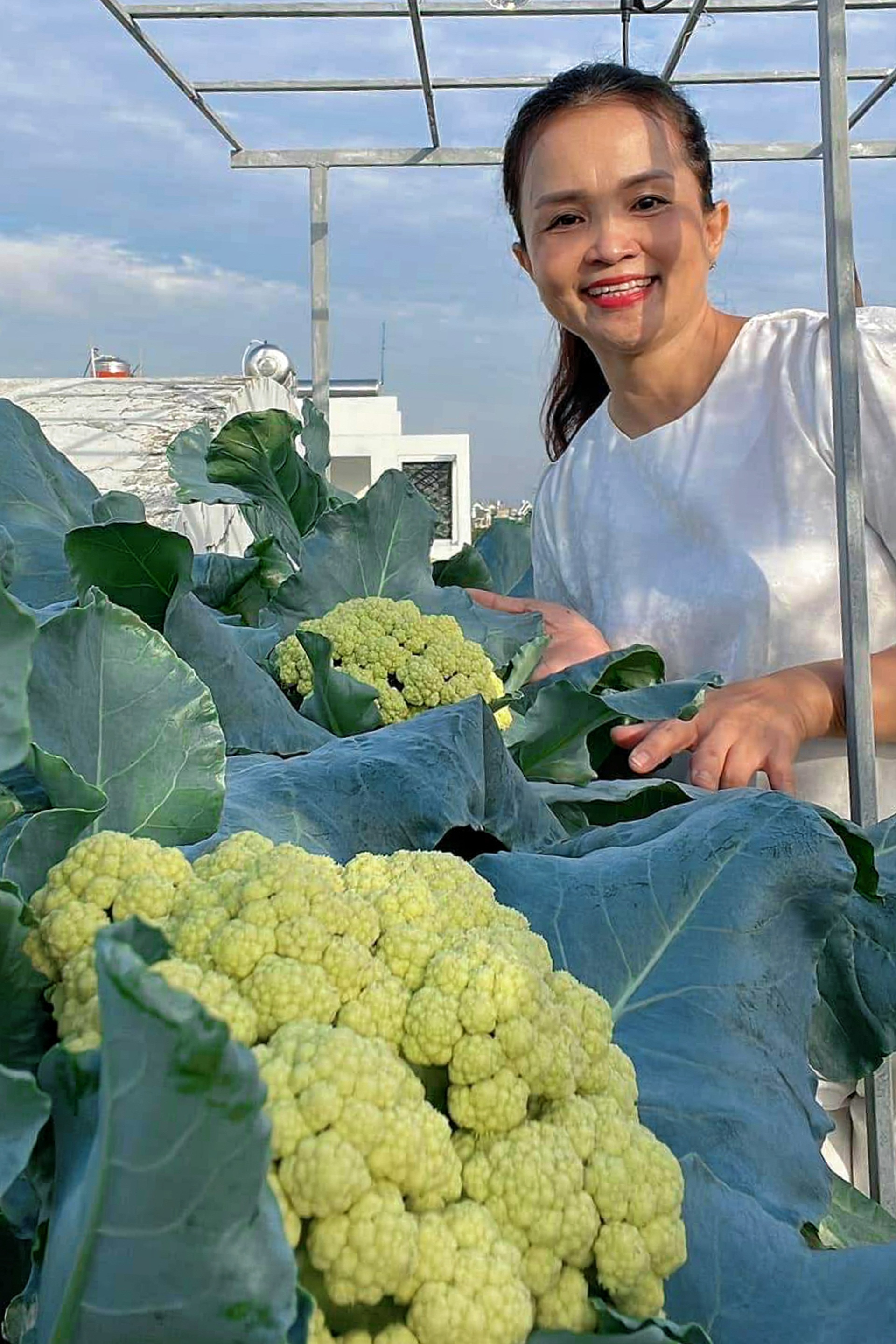 Mẹ đảm ở TPHCM biến sân thượng 100m² thành vườn bí đỏ rực như phim Mỹ - 10