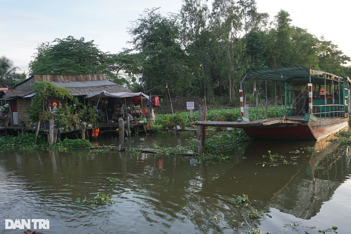 Kỳ lạ đàn cá sông nương tựa cô lái đò, thích được nựng như thú cưng - 5