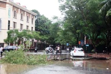 Quảng Ninh, Hải Phòng an toàn sau cơn bão số 5