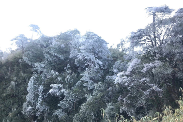 Chiều mùng 3 Tết, băng tuyết xuất hiện tuyệt đẹp trên núi Hoàng Liên Sơn