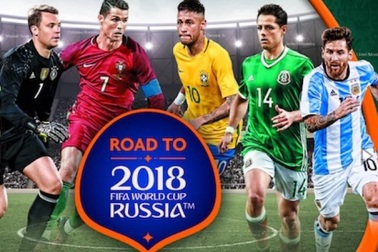 Người Việt tìm kiếm thông tin World Cup tăng "khủng" lên 6 triệu lượt