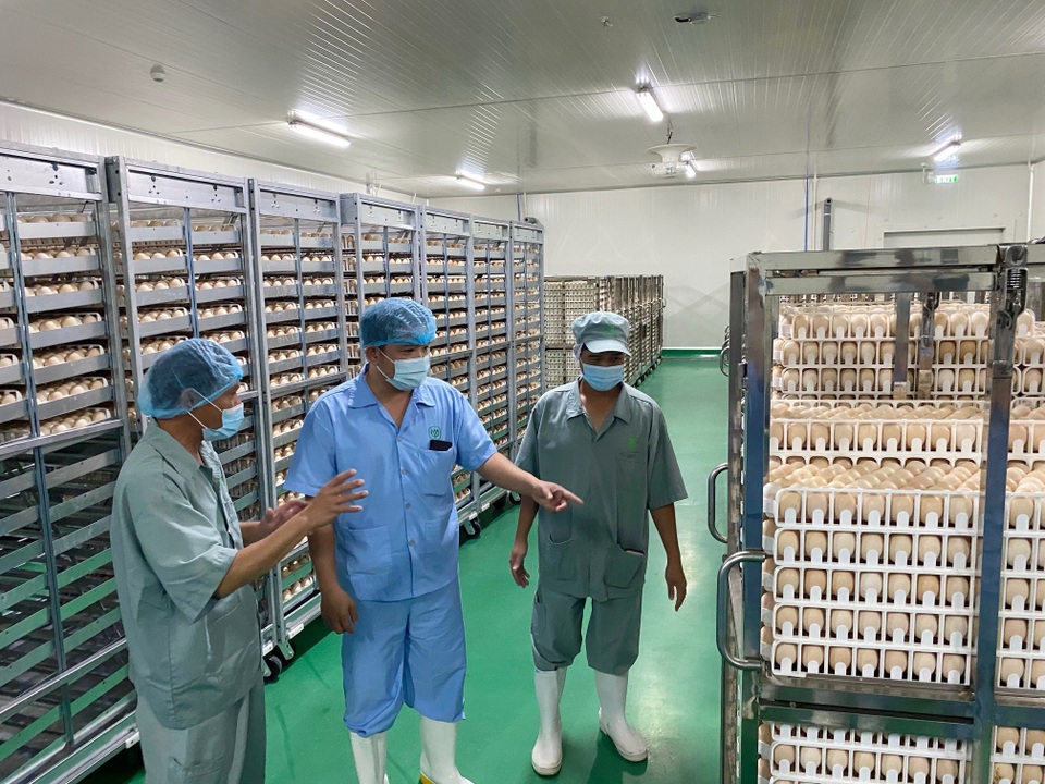 Bình Phước có tổ hợp chế biến thịt gà khủng nhất Việt Nam - 2