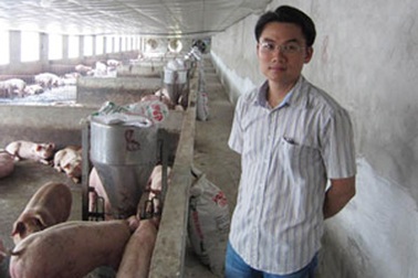 Có bằng thạc sĩ quốc tế, 8X chọn về quê... nuôi lợn
