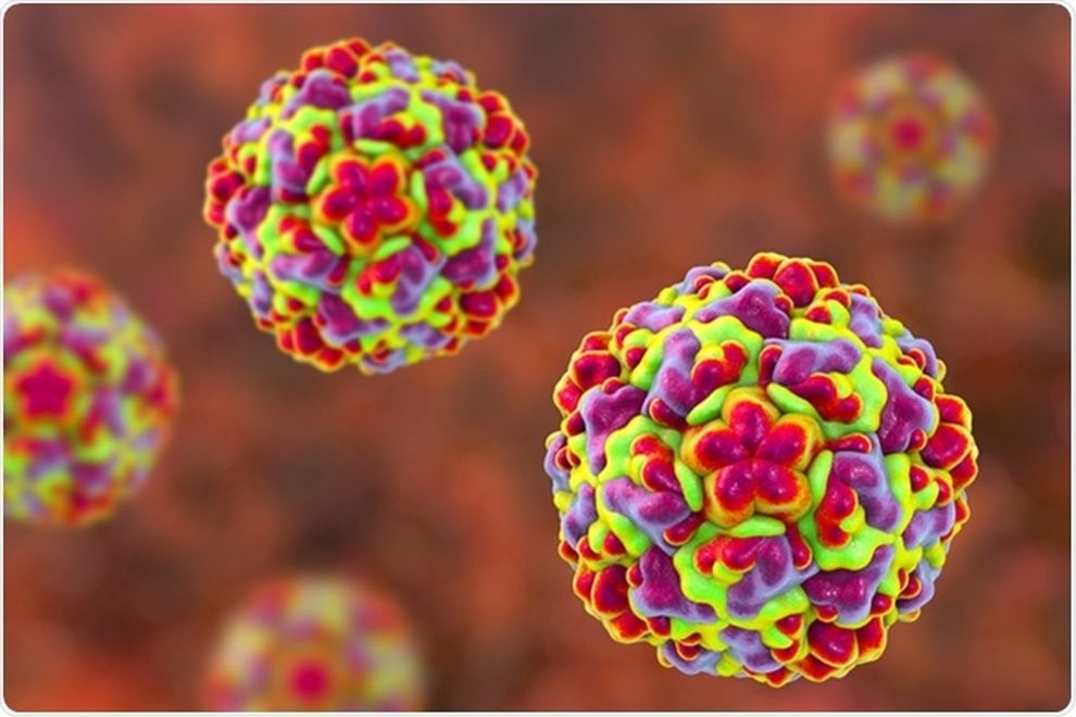 Virus cảm lạnh thông thường đã tồn tại trước khi có loài người hiện đại - 2 Virus cảm lạnh thông thường đã tồn tại trước khi có loài người hiện đại - 2