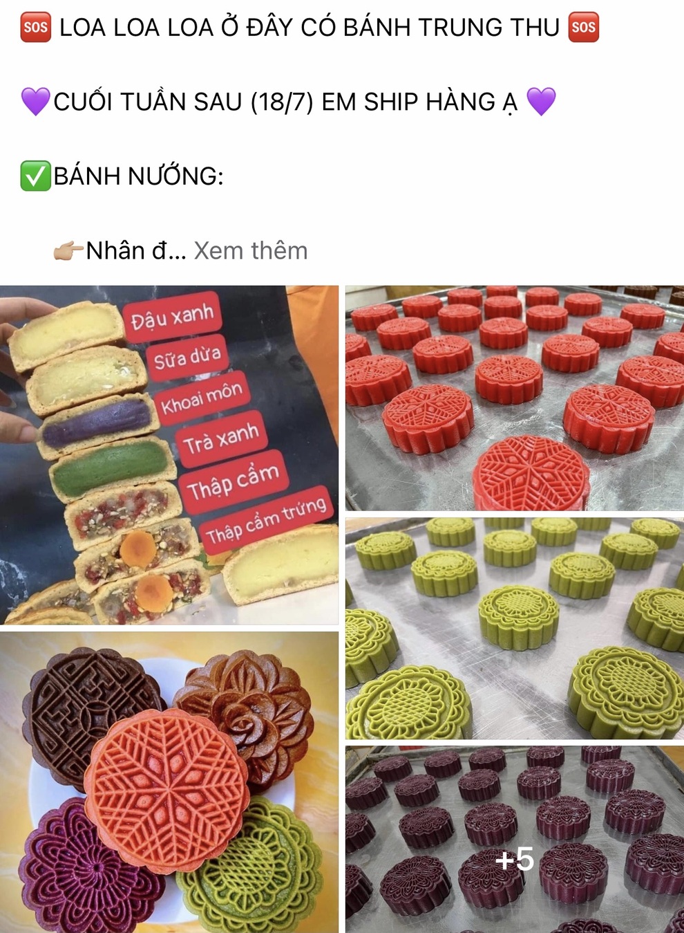 Bất chấp nắng nóng đỉnh điểm, tiểu thương mở bán bánh trung thu sớm - 1 Bất chấp nắng nóng đỉnh điểm, tiểu thương mở bán bánh trung thu sớm - 1