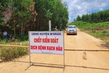 78 ca mắc bạch hầu, cảnh báo nhiều trường hợp không biểu hiện bệnh