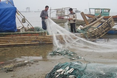 Ngư dân “xông biển” cầu may đầu năm