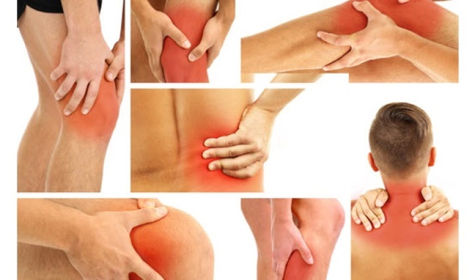Phục Cốt Linh: Giải pháp dành cho bệnh nhân mắc các bệnh về khớp - 1 Phục Cốt Linh: Giải pháp dành cho bệnh nhân mắc các bệnh về khớp - 1