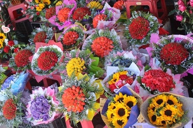 Cận lễ 20/10, hoa hồng Đà Lạt tăng giá gấp 2- 3 lần