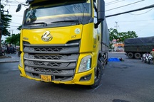 Bắt tạm giam tài xế xe tải làm ông lão tử vong