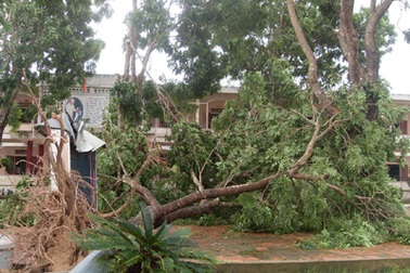 Người chết, nhà cửa tàu thuyền tan nát sau bão