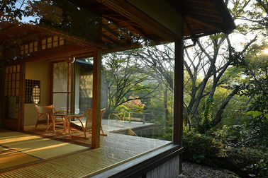 Vì sao người Nhật thích đưa gỗ vào nhà?