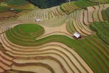 Khám phá Mù Cang Chải