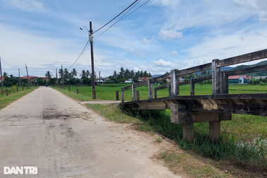 Con ruột sát hại cha vì bán trâu không hỏi ý kiến