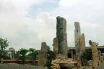 Mục sở thị nhà vườn của ông Bùi Thanh Tùng 