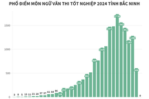 Cứ 10 thí sinh Bắc Ninh thì có 1 em đạt điểm 9,5 môn văn tốt nghiệp 2024