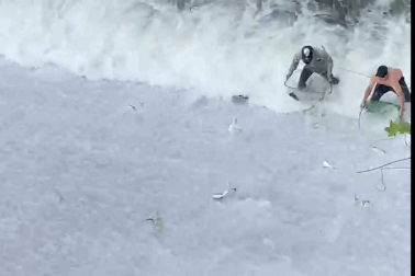 Hàng trăm con cá tràn ra ngoài hồ chứa, dân bất chấp nguy hiểm đón bắt