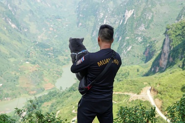 Chú chó mê du lịch, check-in muôn nơi, có 230 ngàn người theo dõi