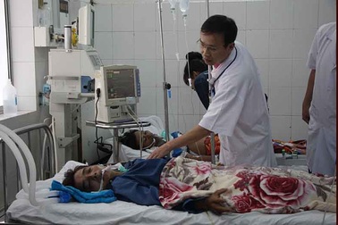 3 người hôn mê, ngưng tim sau khi ăn lẩu cá nóc