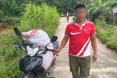 Bị phạt 5,5 triệu đồng vì vứt xác lợn bệnh không đúng quy định