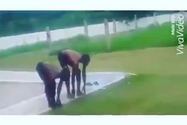 Clip thư giãn: Cười đau ruột với giải bơi cạn