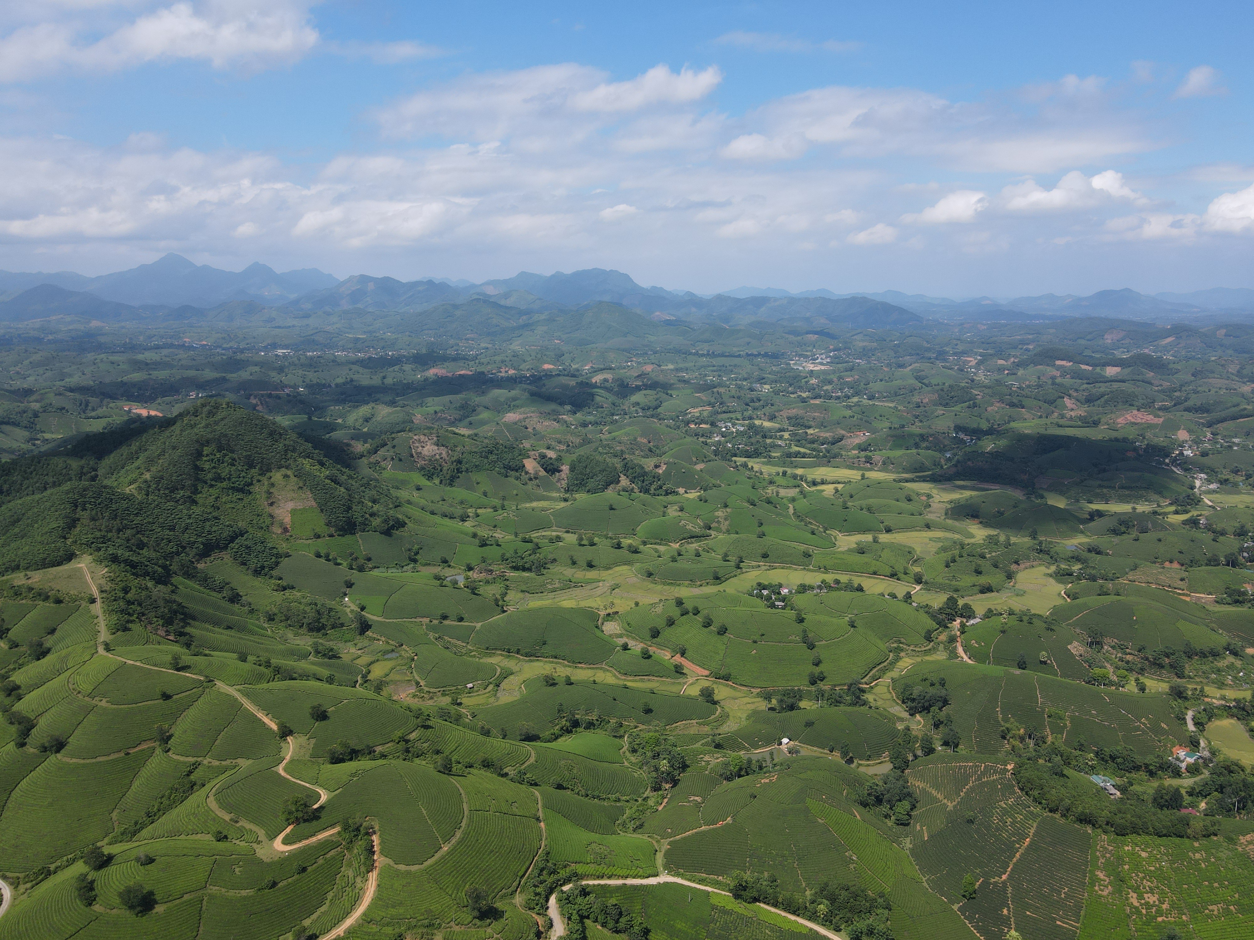 Choáng ngợp vẻ đẹp của đồi chè hình bát úp độc nhất Việt Nam - 1