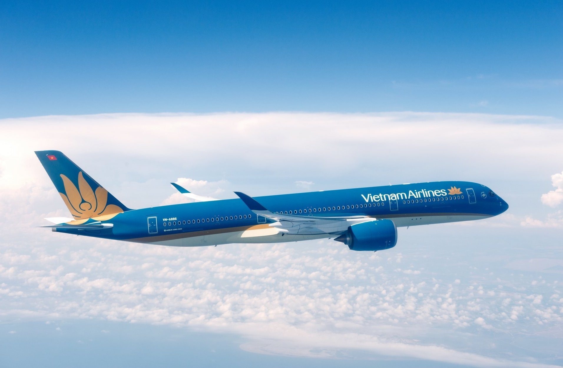 Vietnam Airlines được đồng ý chủ trương mua 50 tàu bay - 1