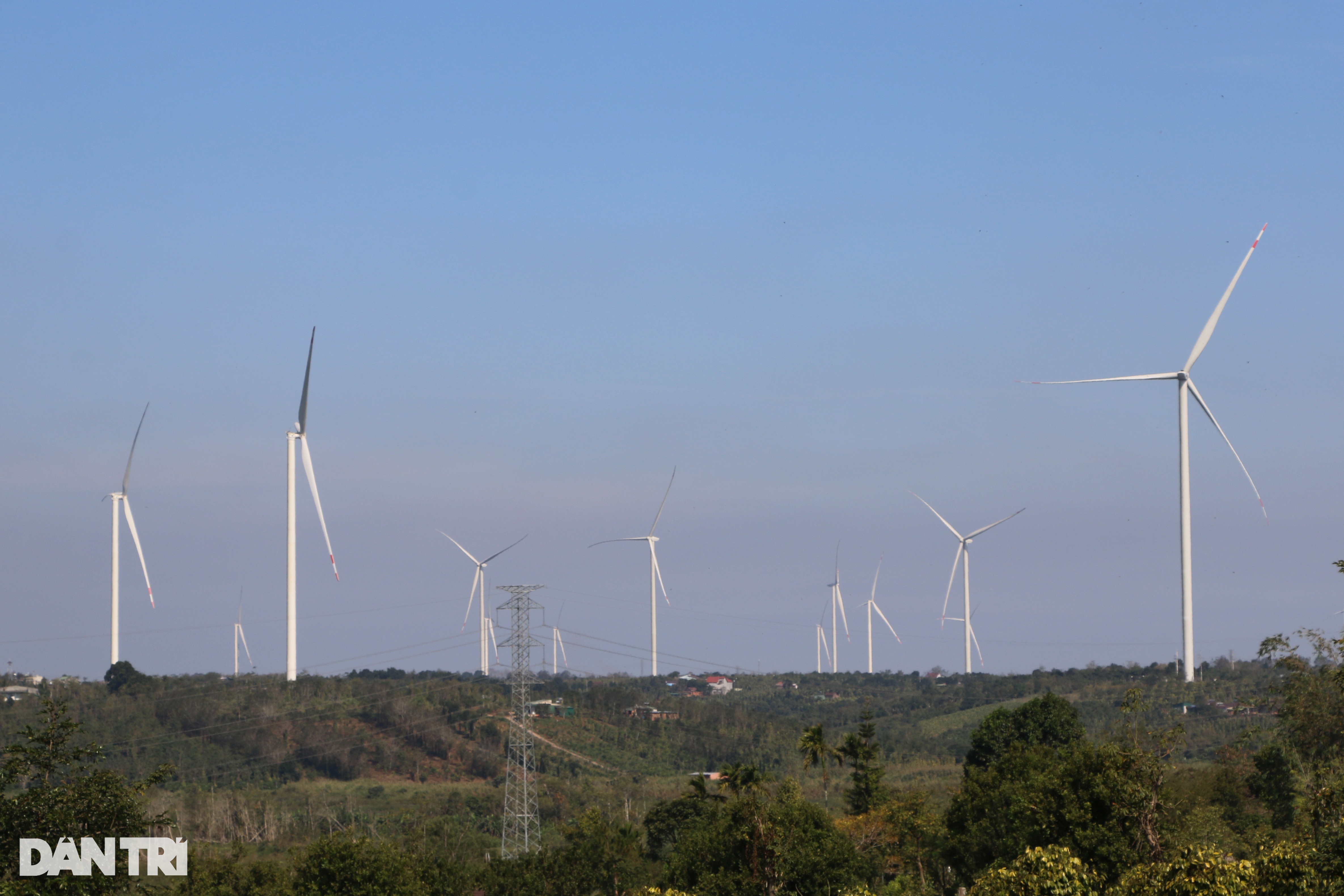 Ủy ban Kiểm tra Trung ương yêu cầu Đắk Nông cung cấp hồ sơ dự án điện gió - 1