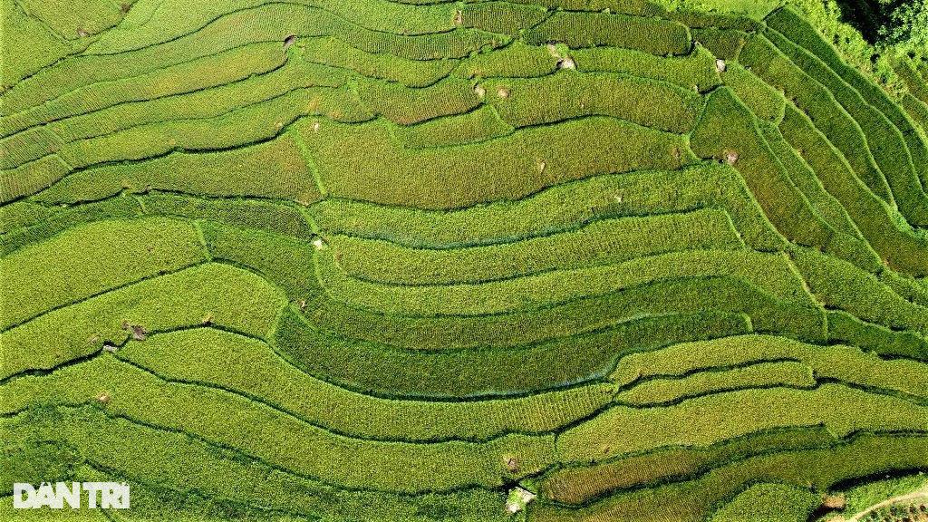 Vẻ đẹp hút hồn ở Pù Luông nơi được mệnh danh là thiên đường giữa đại ngàn - 4 Vẻ đẹp hút hồn ở Pù Luông nơi được mệnh danh là thiên đường giữa đại ngàn - 4