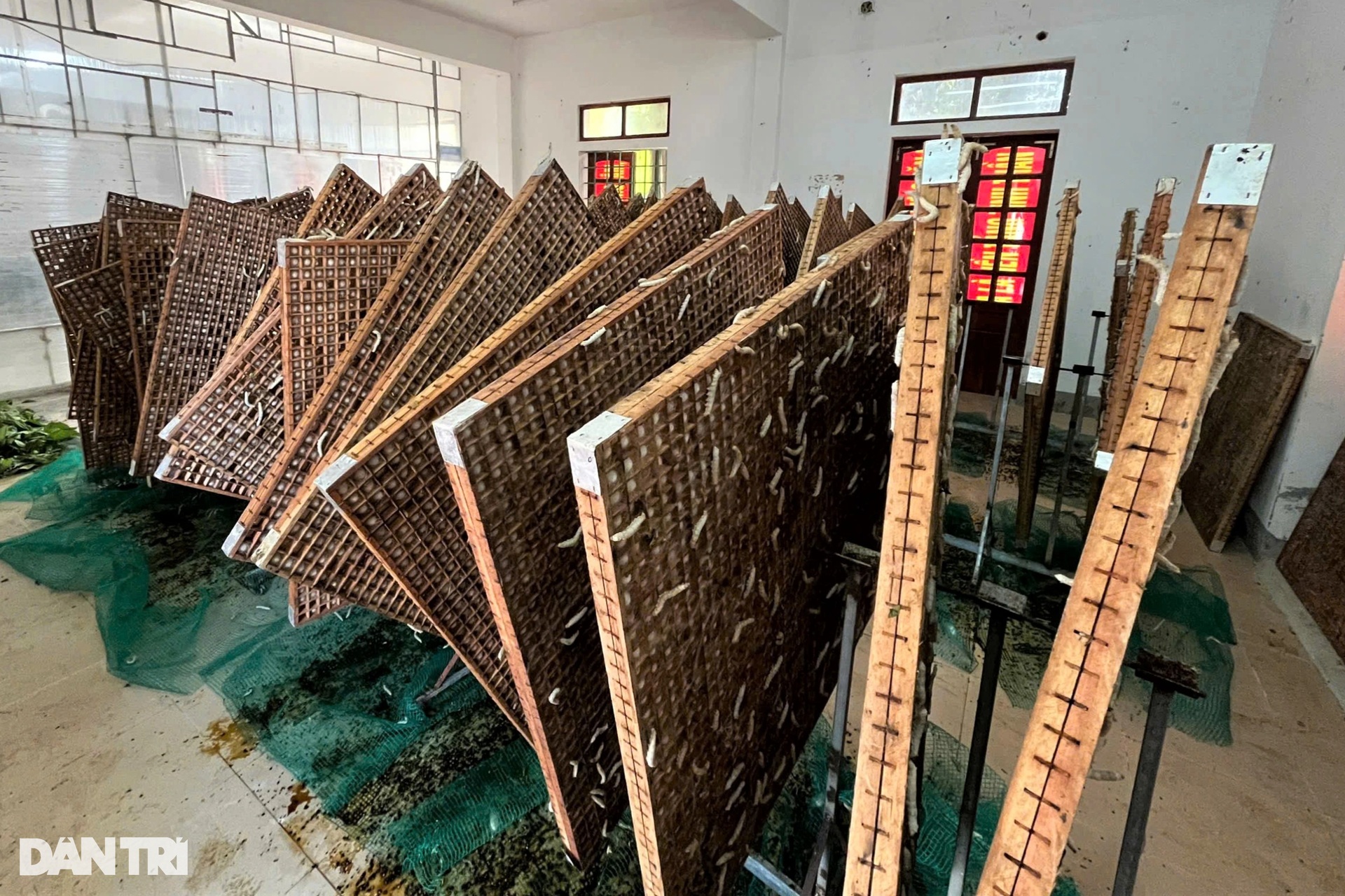 Đưa loại vật nuôi khó chiều vào phòng điều hòa, thu nửa tỷ đồng mỗi năm - 10 Đưa loại vật nuôi khó chiều vào phòng điều hòa, thu nửa tỷ đồng mỗi năm - 10