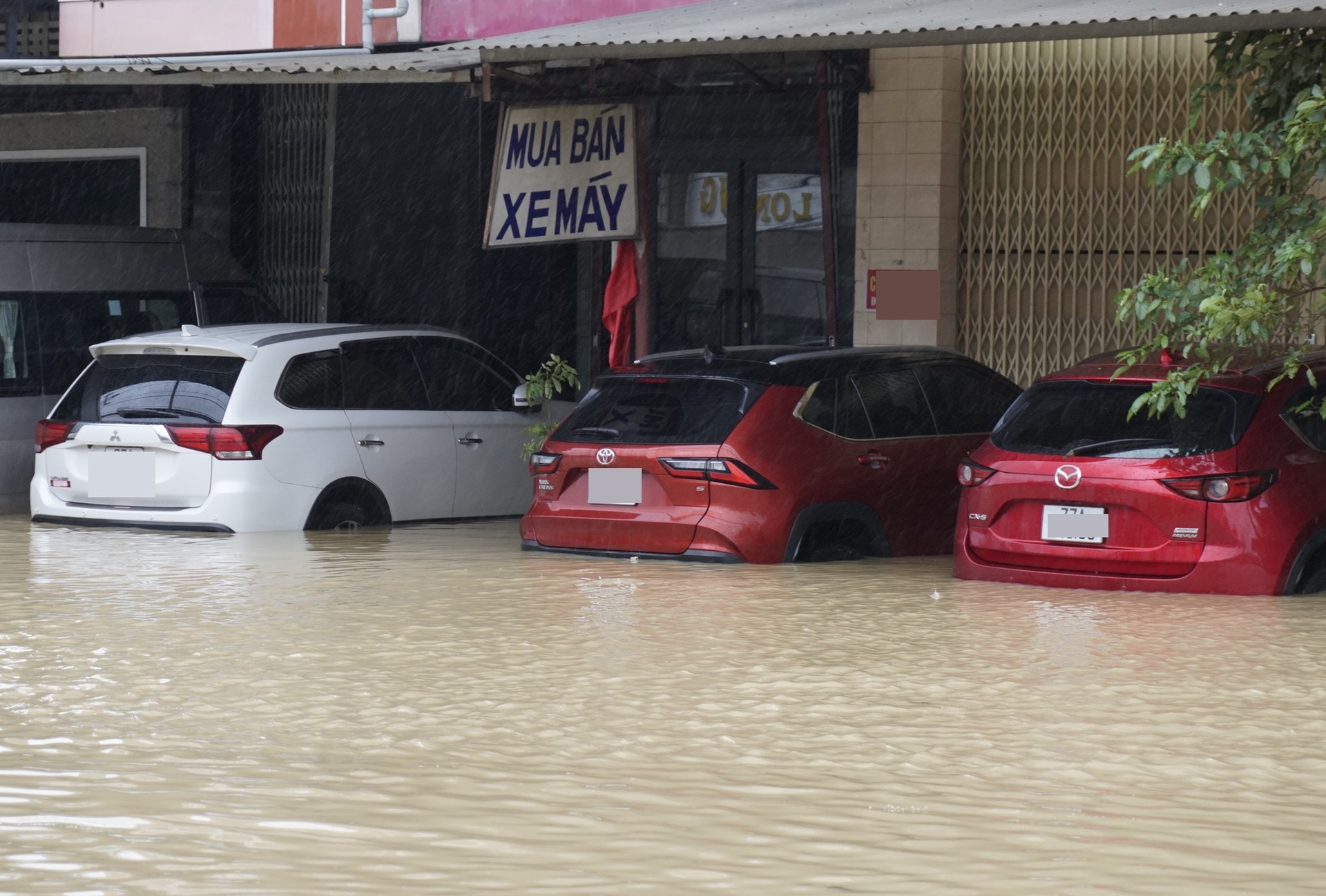 Người dân Gia Lai vật lộn giữa lũ lịch sử, đưa bò đến trụ sở xã trú - 10 Người dân Gia Lai vật lộn giữa lũ lịch sử, đưa bò đến trụ sở xã trú - 10