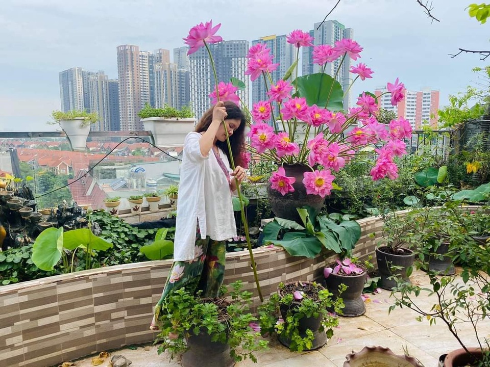 Vườn hoa khổng lồ trên sân thượng của người phụ nữ Hà Nội - 1