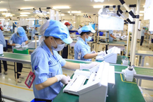 Số doanh nghiệp quay lại thị trường lập đỉnh trong tháng 6