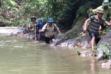 Cận cảnh hiện trường vụ phá rừng tại Quảng Bình