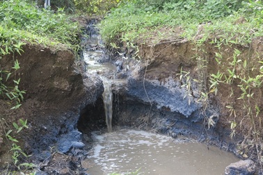 Hãi hùng nhìn dòng nước thải của xưởng chế biến bột sắn