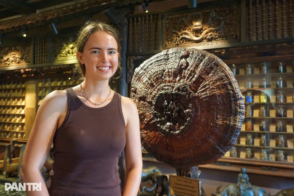 Kỳ công đưa nhà cổ Hà Nội vào lắp ghép trong bảo tàng 6 tầng ở TPHCM - 6 Kỳ công đưa nhà cổ Hà Nội vào lắp ghép trong bảo tàng 6 tầng ở TPHCM - 6