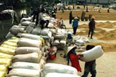 Xuất khẩu gạo trên mức 2 triệu tấn