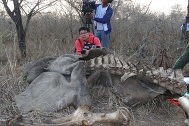 “Gáo nước lạnh” dội xuống từ… mặt trăng!