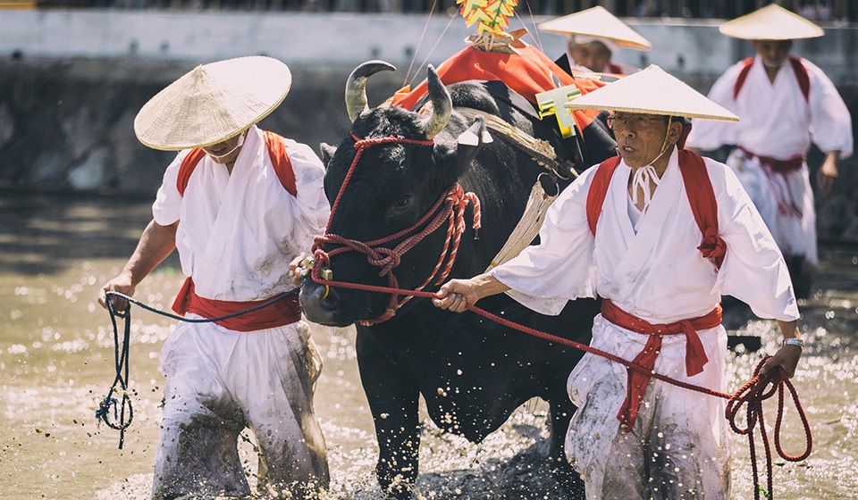 Otaue - Lễ hội cấy lúa cổ xưa của vùng Kansai Nhật Bản - 4 Otaue - Lễ hội cấy lúa cổ xưa của vùng Kansai Nhật Bản - 4