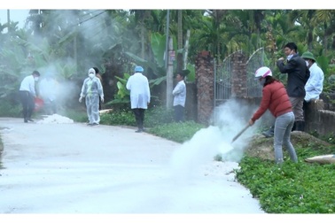 Triển khai đồng bộ các giải pháp cấp bách khống chế bệnh dịch tả lợn châu Phi