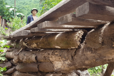 Na Kho khao khát một cây cầu giữa đại ngàn heo hút