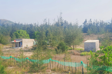 Buông lỏng quản lý đất đai, một chủ tịch xã ở Bình Định mất chức