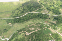 Công ty đứng sau dự án 25.000 tỷ đồng liên quan vụ chủ tịch Lâm Đồng bị bắt