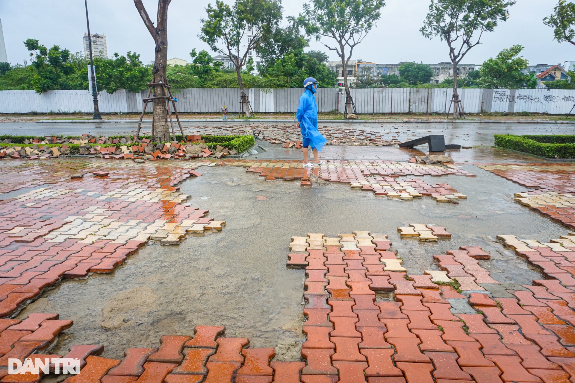 Cây đổ hàng loạt, sóng đánh tốc gạch vỉa hè ven sông Hàn do bão Trà Mi - 4