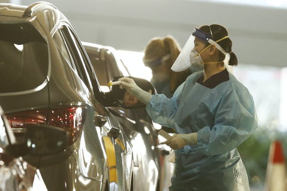 Chó được huấn luyện ngửi phát hiện virus corona chính xác gần 100% - 2 Chó được huấn luyện ngửi phát hiện virus corona chính xác gần 100% - 2