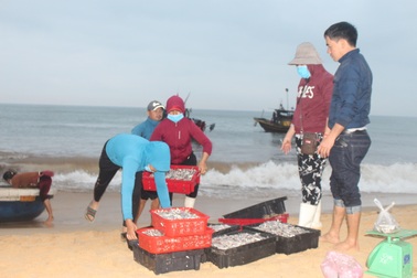 Ngư dân bãi ngang vui mừng trúng "lộc biển" những ngày đầu năm mới