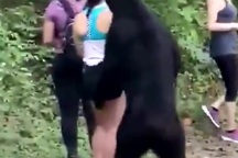 Thót tim cảnh gấu đen bất ngờ cùng chụp “tự sướng" với du khách