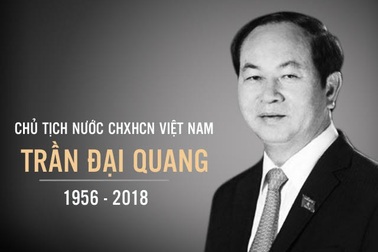Quá trình công tác của Chủ tịch nước Trần Đại Quang