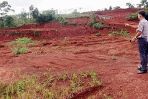 Nguyên trưởng phòng nông nghiệp xin cấp đất quốc phòng cho người thân