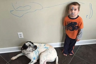 Chùm ảnh vui: Những em bé siêu quậy